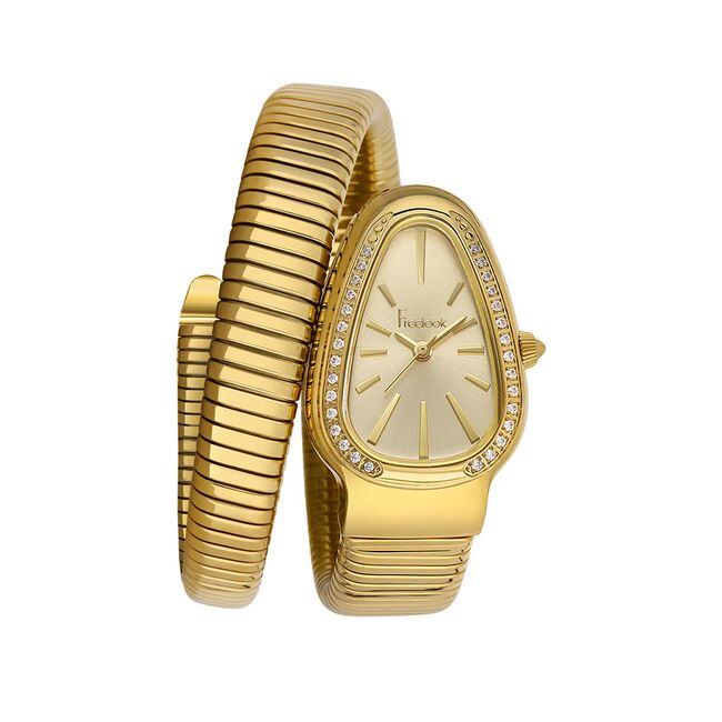 Ceas Freelook Charmant FL.1.10473.2