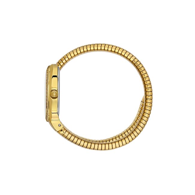 Ceas Freelook Charmant FL.1.10473.2