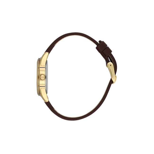 Ceas Daniel Klein Arcadia DK.1.13847.5