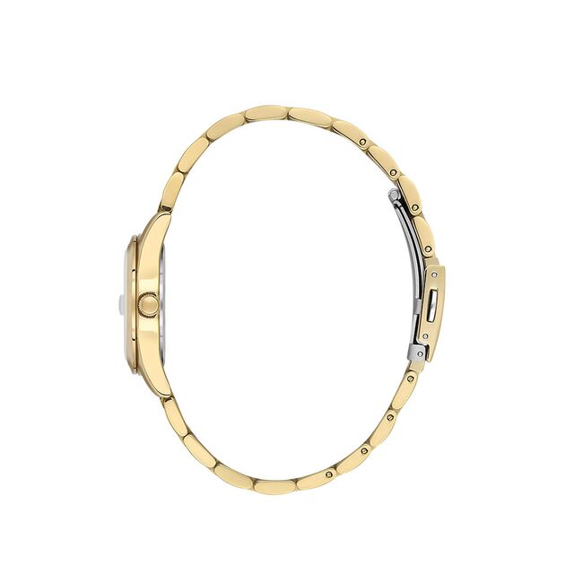 Ceas Daniel Klein Premium DK.1.13758.5