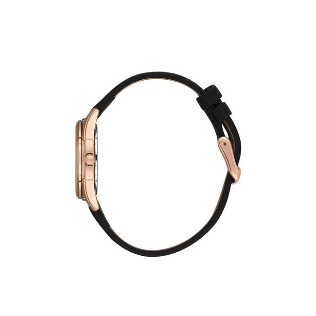 Ceas Daniel Klein Premium DK.1.13761.5