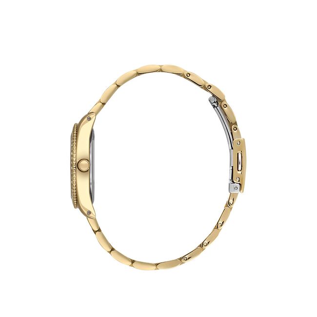 Ceas Daniel Klein Premium DK.1.13767.5