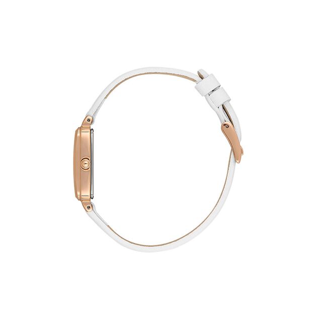 Ceas Daniel Klein Premium DK.1.13776.5