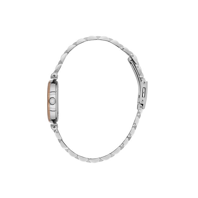 Ceas Daniel Klein Premium DK.1.13777.5