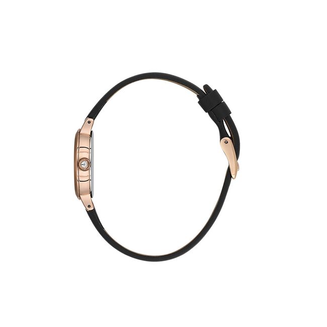 Ceas Daniel Klein Premium DK.1.13780.6