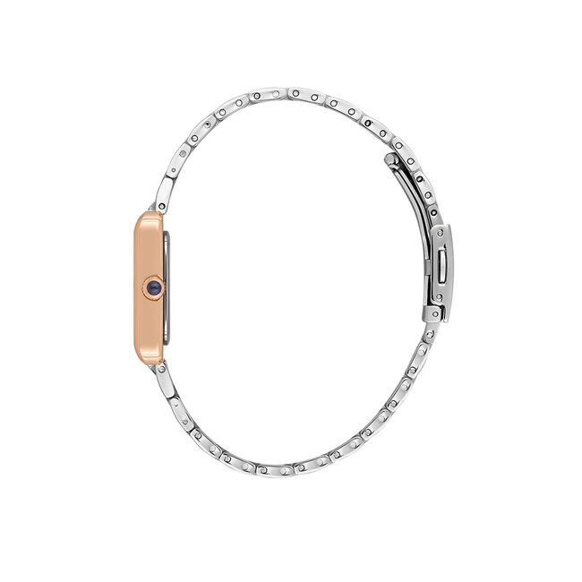 Ceas Daniel Klein Premium DK.1.13786.6