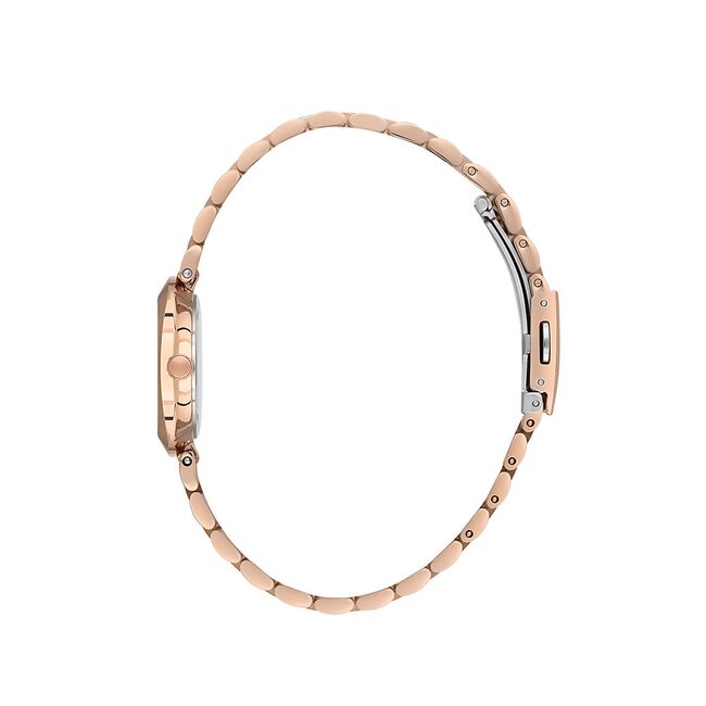 Ceas Daniel Klein Premium DK.1.13788.5