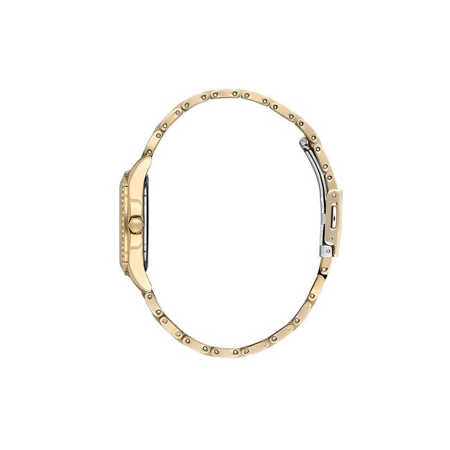 Ceas Daniel Klein Premium DK.1.13866.2