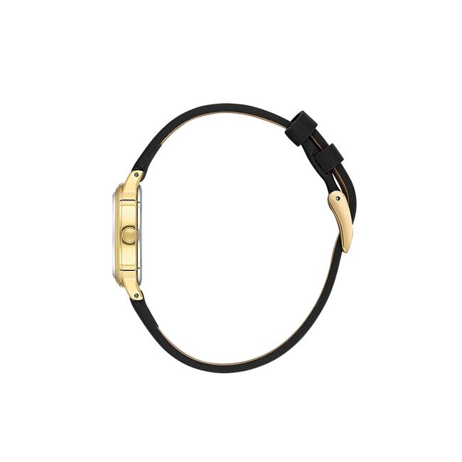 Ceas Daniel Klein Premium DK.1.13869.4