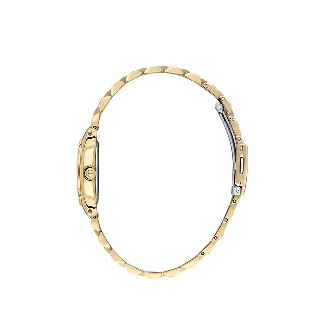 Ceas Daniel Klein Premium DK.1.13870.4