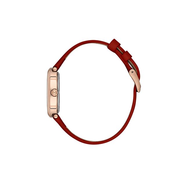 Ceas Daniel Klein Premium DK.1.13872.6