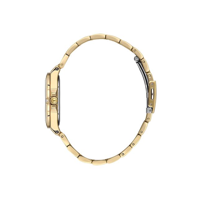 Ceas Daniel Klein Premium DK.1.13874.5