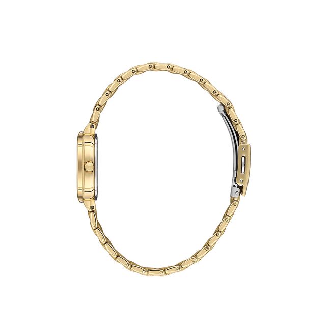 Ceas Daniel Klein Premium DK.1.13876.4