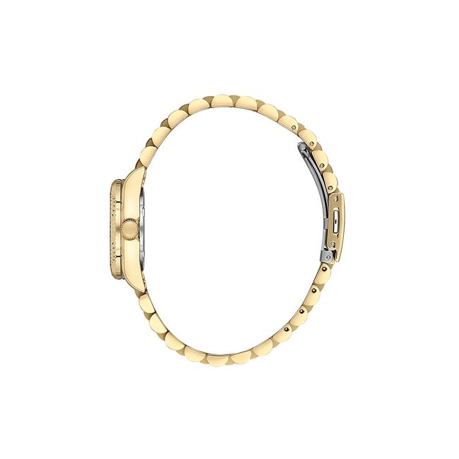 Ceas Daniel Klein Premium DK.1.13894.2