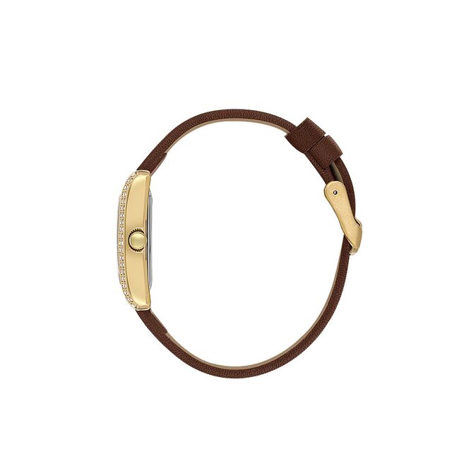 Ceas Daniel Klein Premium DK.1.13896.4