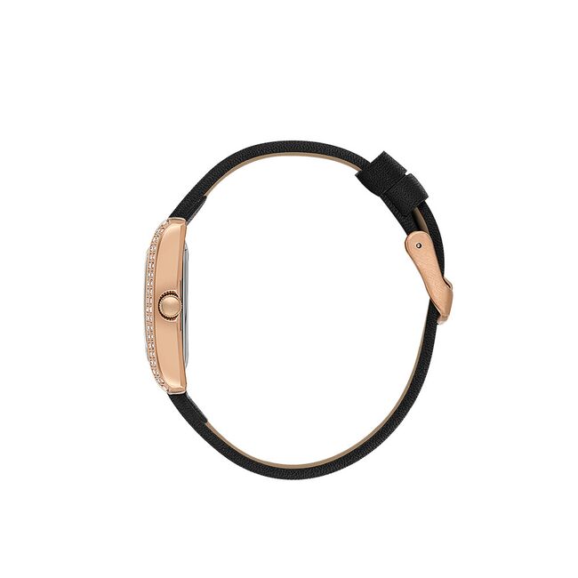 Ceas Daniel Klein Premium DK.1.13896.5