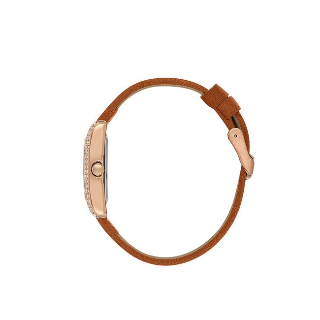 Ceas Daniel Klein Premium DK.1.13896.6