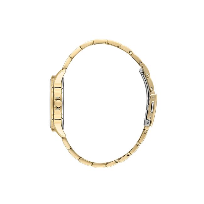 Ceas Daniel Klein Premium DK.1.13897.4