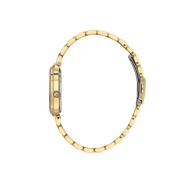 Ceas Freelook Lumiere FL.1.10483.3