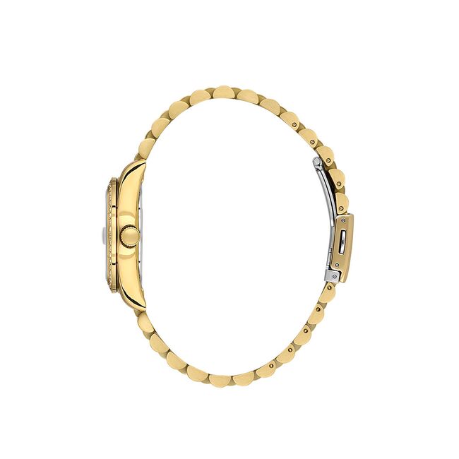 Ceas Daniel Klein Premium DK.1.13932.3