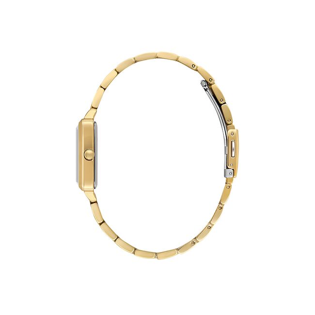 Ceas Daniel Klein Premium DK.1.13941.3