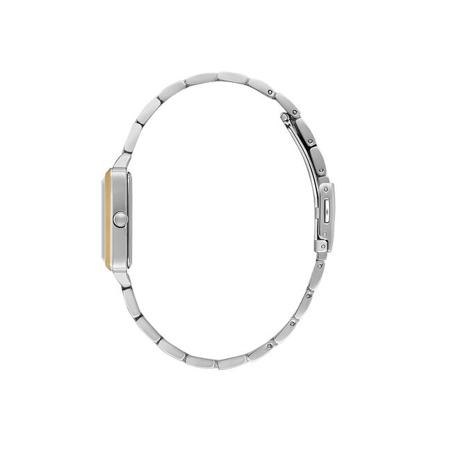 Ceas Daniel Klein Premium DK.1.13941.5