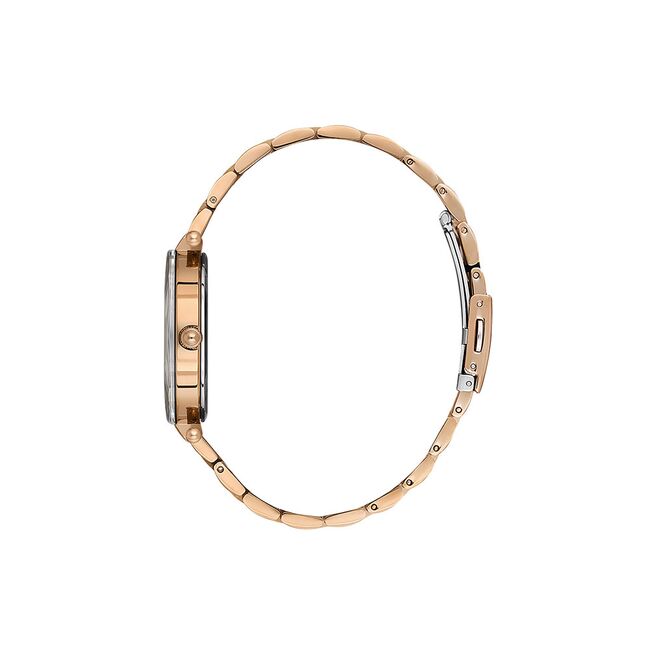 Ceas Daniel Klein Premium DK.1.13954.5