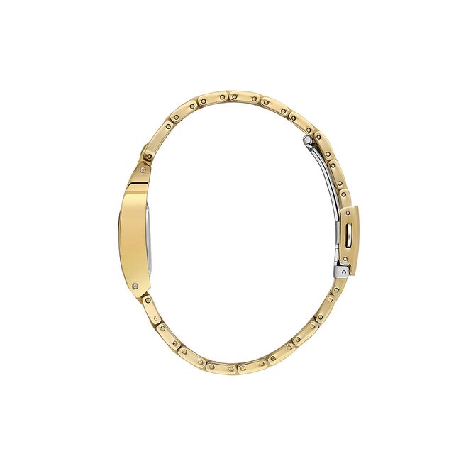 Ceas Daniel Klein Premium DK.1.13957.4