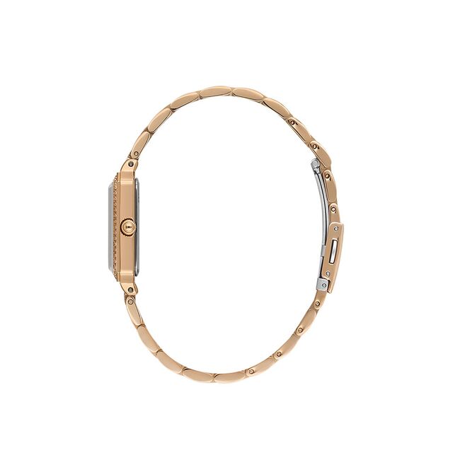 Ceas Daniel Klein Premium DK.1.13970.5