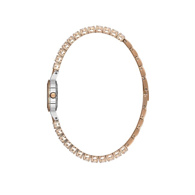 Ceas Freelook Charmant FL.4.10010.5