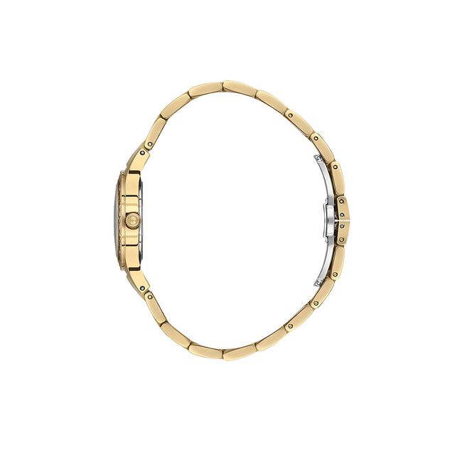 Ceas Freelook Lumiere FL.1.10493.3