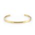 Bratara aurie, Daniel Klein, pentru dama, din otel inoxidabil, DKJ.3.1025-2